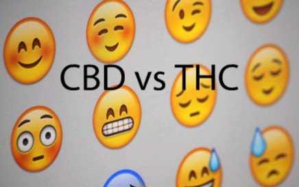 CBDvsTHC