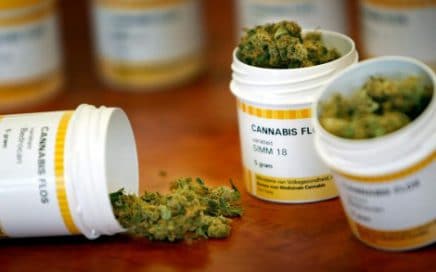Varieties Cannabis
