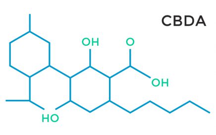 cannabidiolic acid form CBDa